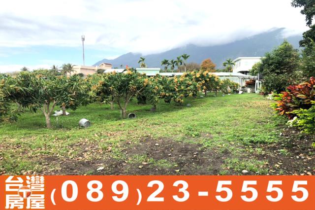 台東東河透天-14