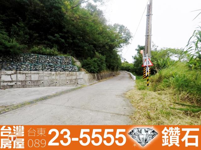 台東卑南農地-6