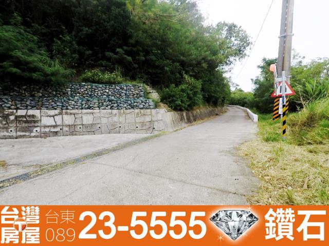 台東卑南農地-7