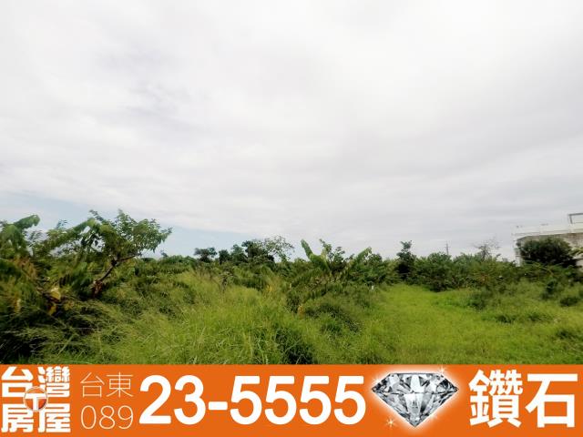 台東台東市農地-3