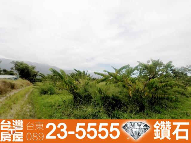 台東台東市農地-4