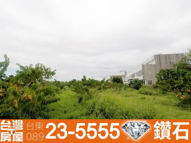 台東台東市農地-5