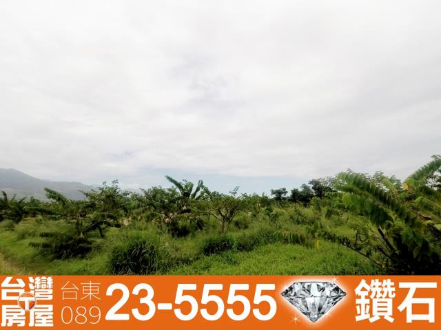 台東台東市農地-7