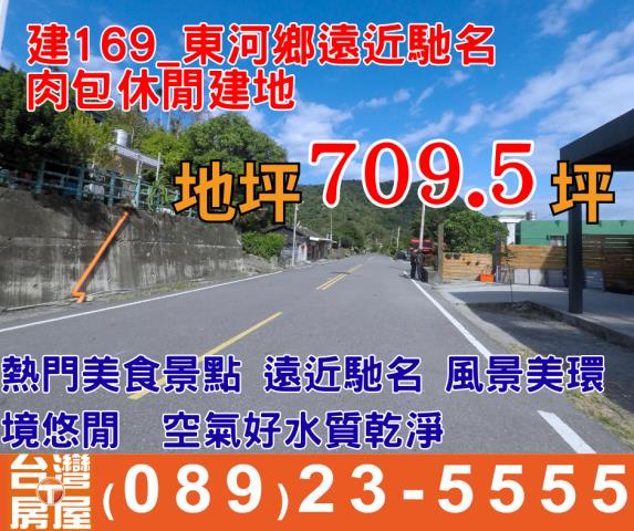 台東建地-0