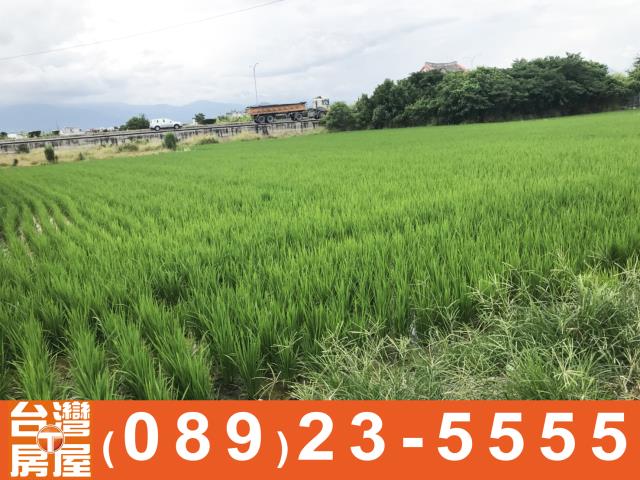 鑽石台東房地產買賣