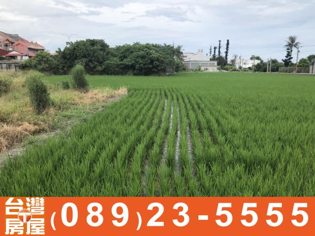 台東農地-9