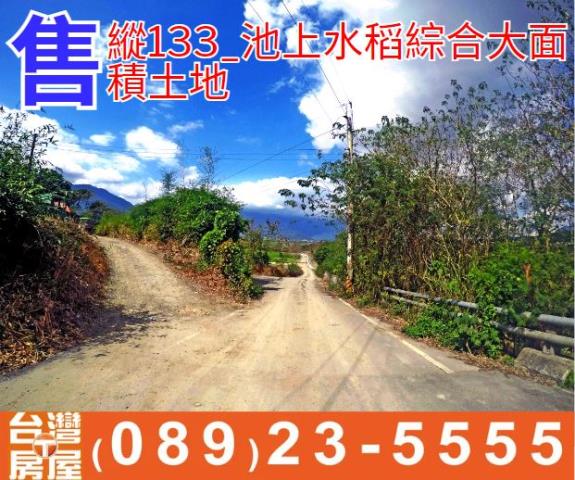 池上大面積土地