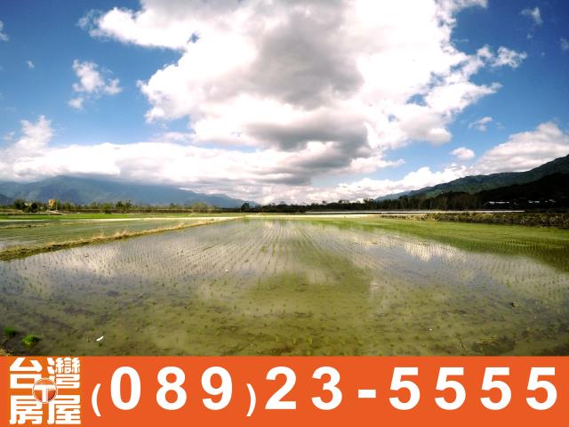 台東農地