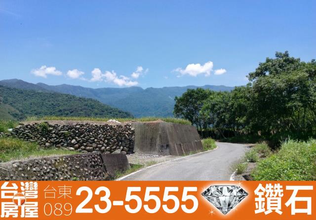 台東鹿野農地-11