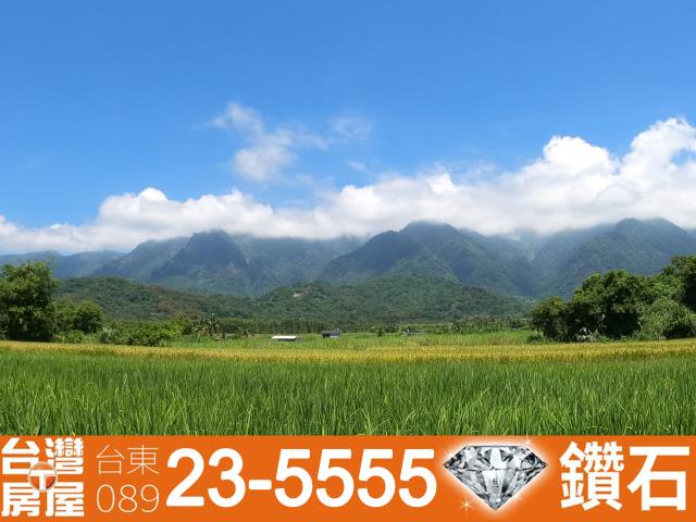 長濱農地-9