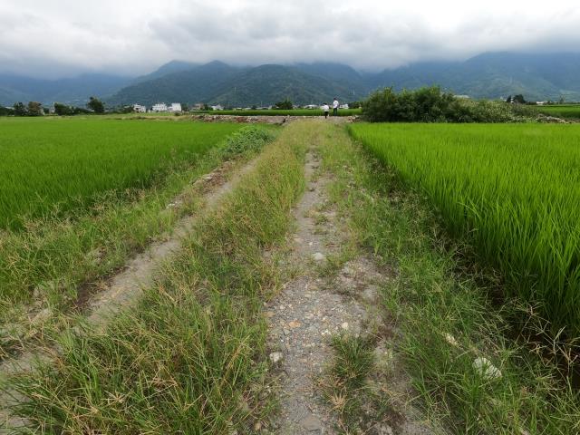 台東關山農地-14