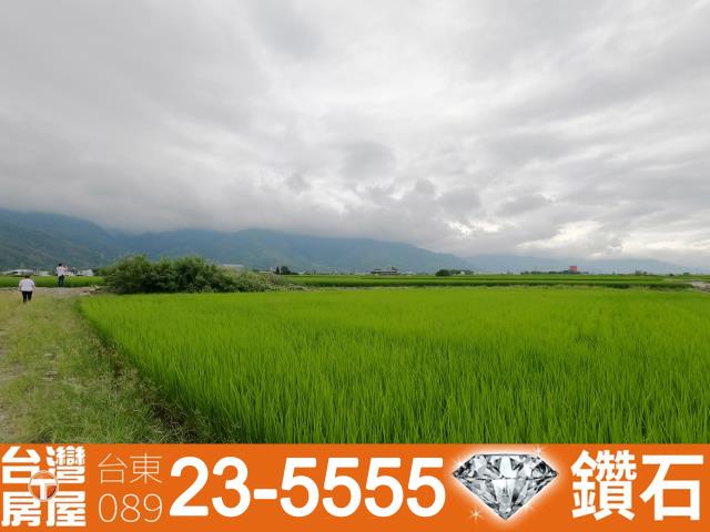 台東關山農地-9