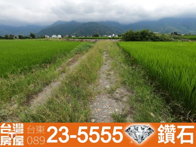 台東關山農地-10
