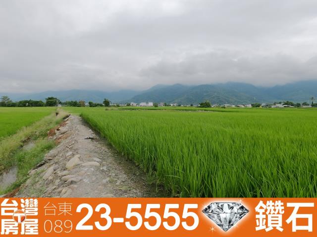 台東關山農地-11