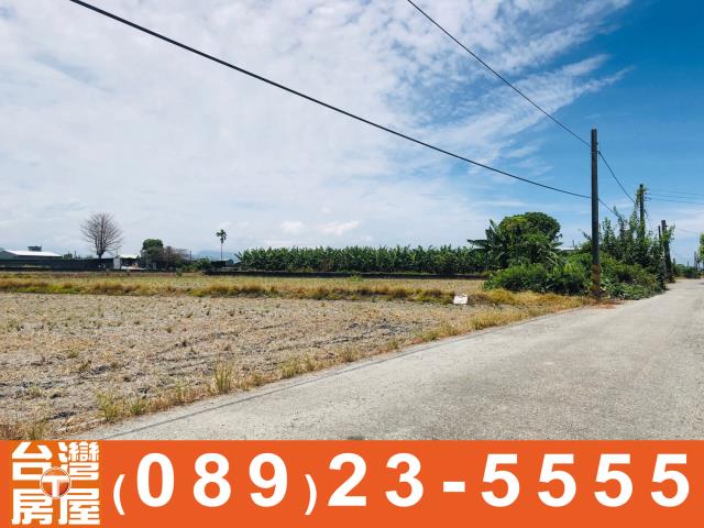 鑽石台東房地產買賣