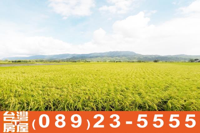 關山農地-10