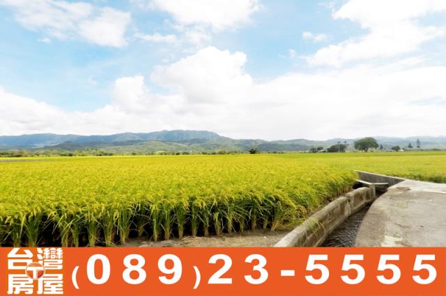 關山農地-3