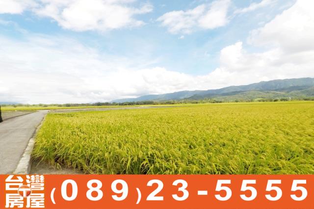 關山農地-4