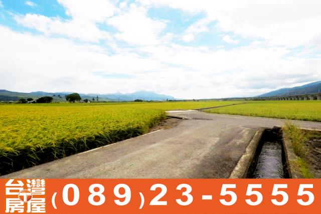 關山農地-6