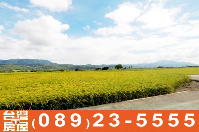 關山農地-7