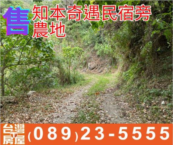 知本奇遇民宿旁農地