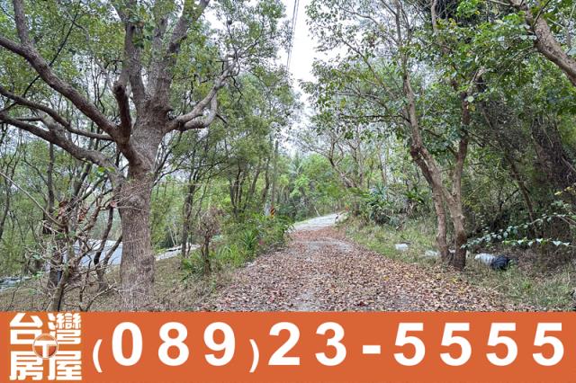台東卑南農地-3