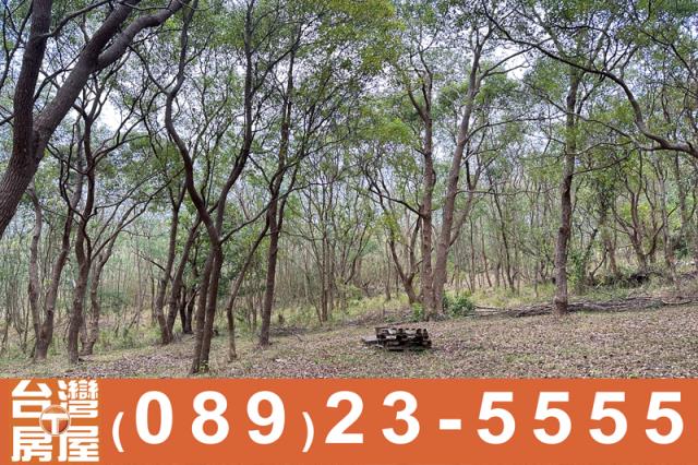 台東卑南農地-6