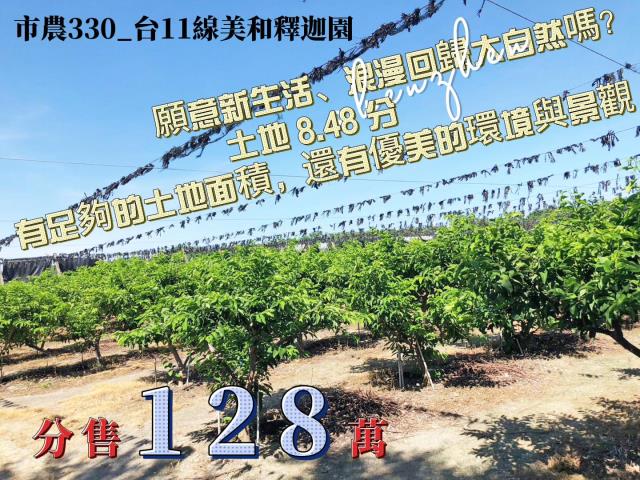 台11線美和釋迦園