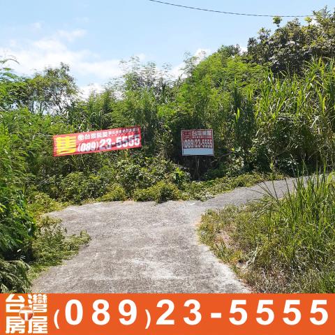 台東成功農地-1