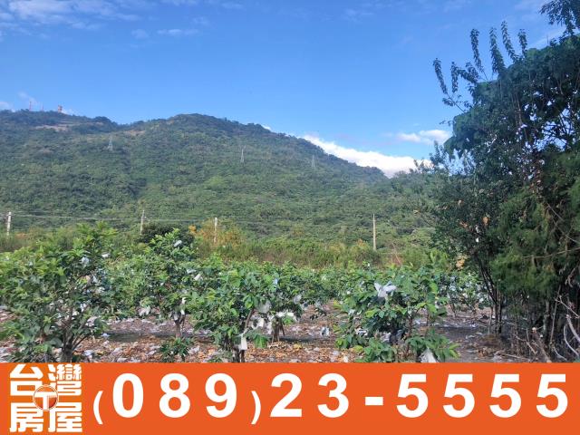 鑽石台東房地產買賣