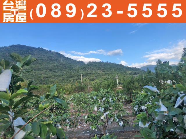 鑽石台東房地產買賣