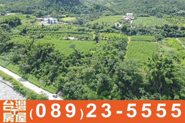 卑南農地-3