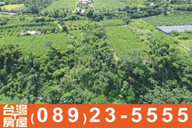 卑南農地-5