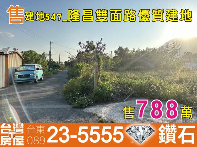 台東建地-0