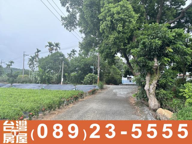 台東農地-1