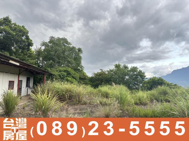 台東農地-5