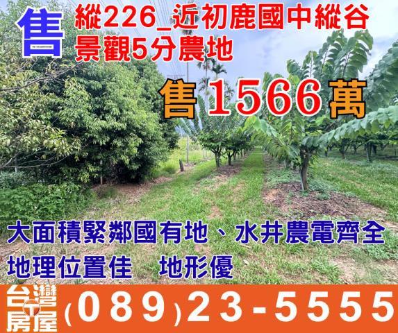 台東卑南農地-0