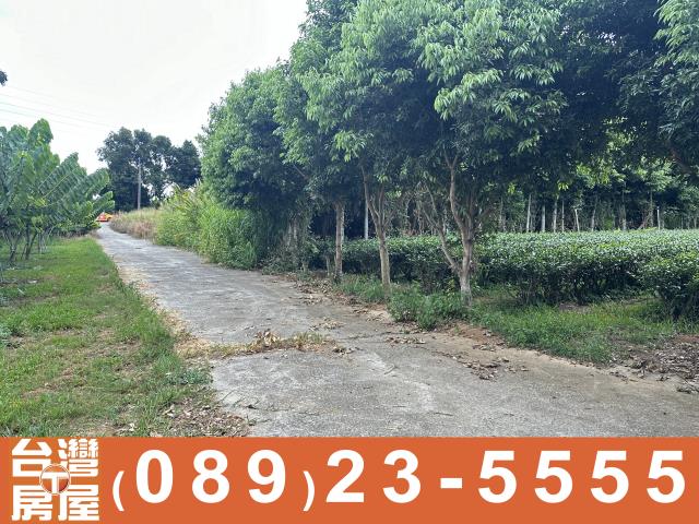 台東卑南農地-4