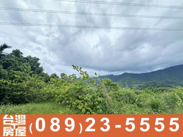 台東卑南農地-6