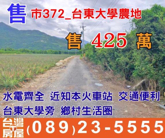 台東市農地-0