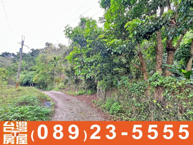 台東台東市農地-6