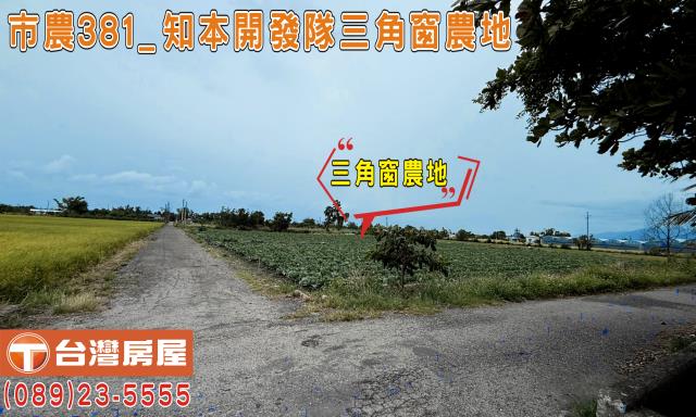 台東台東市農地-0