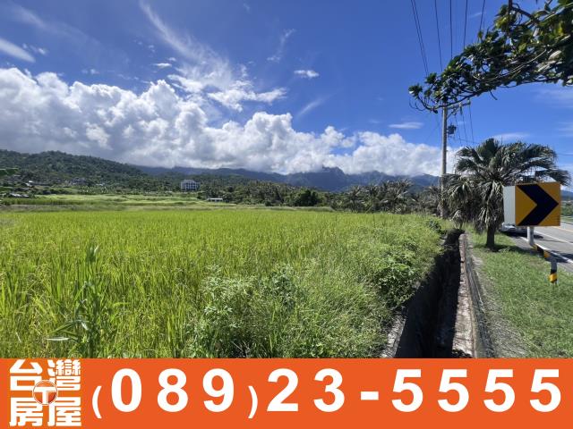 台東長濱農地-4