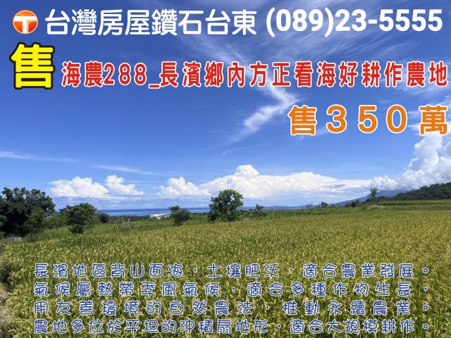 台東長濱農地-0