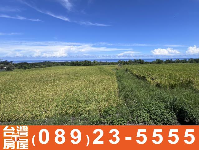 台東長濱農地-5
