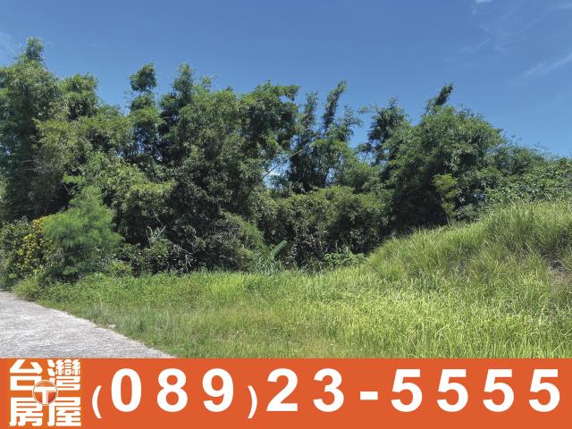 台東長濱農地-1