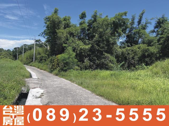 台東長濱農地-4