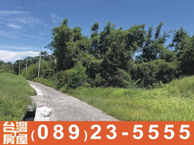 台東長濱農地-5