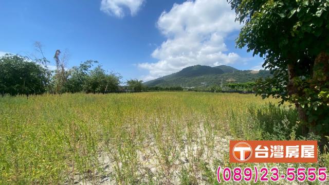 台東太麻里農地-5