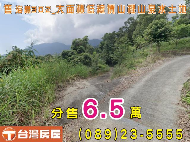 台東成功農地-0